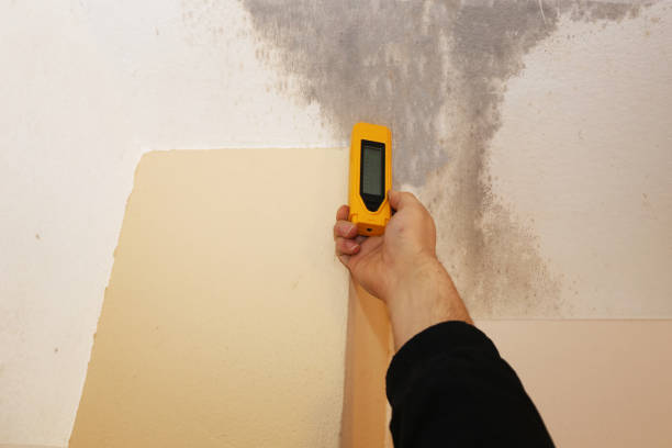 Best Commercial Mold Inspection  in Spotswood, NJ