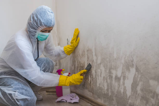 Best Asbestos and Lead Testing During Mold Inspection  in Spotswood, NJ