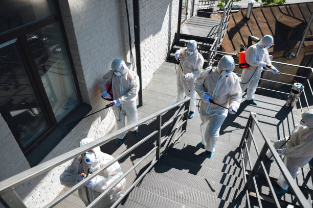 Best Basement Mold Removal  in Spotswood, NJ
