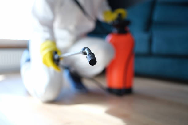 Asbestos and Lead Testing During Mold Inspection in Spotswood, NJ