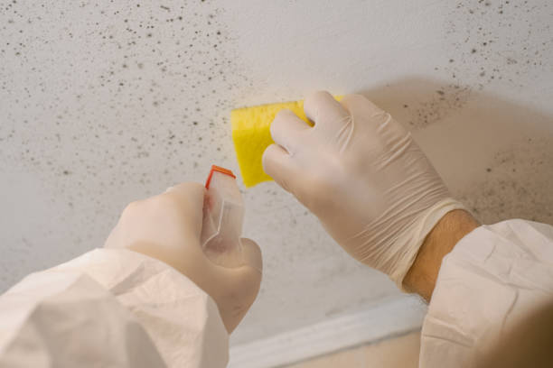 Best Airborne Mold Testing  in Spotswood, NJ